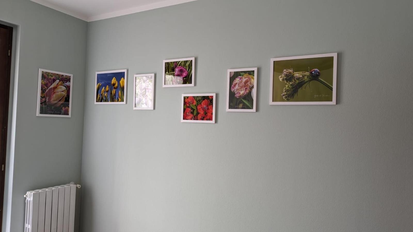 Photo House La *